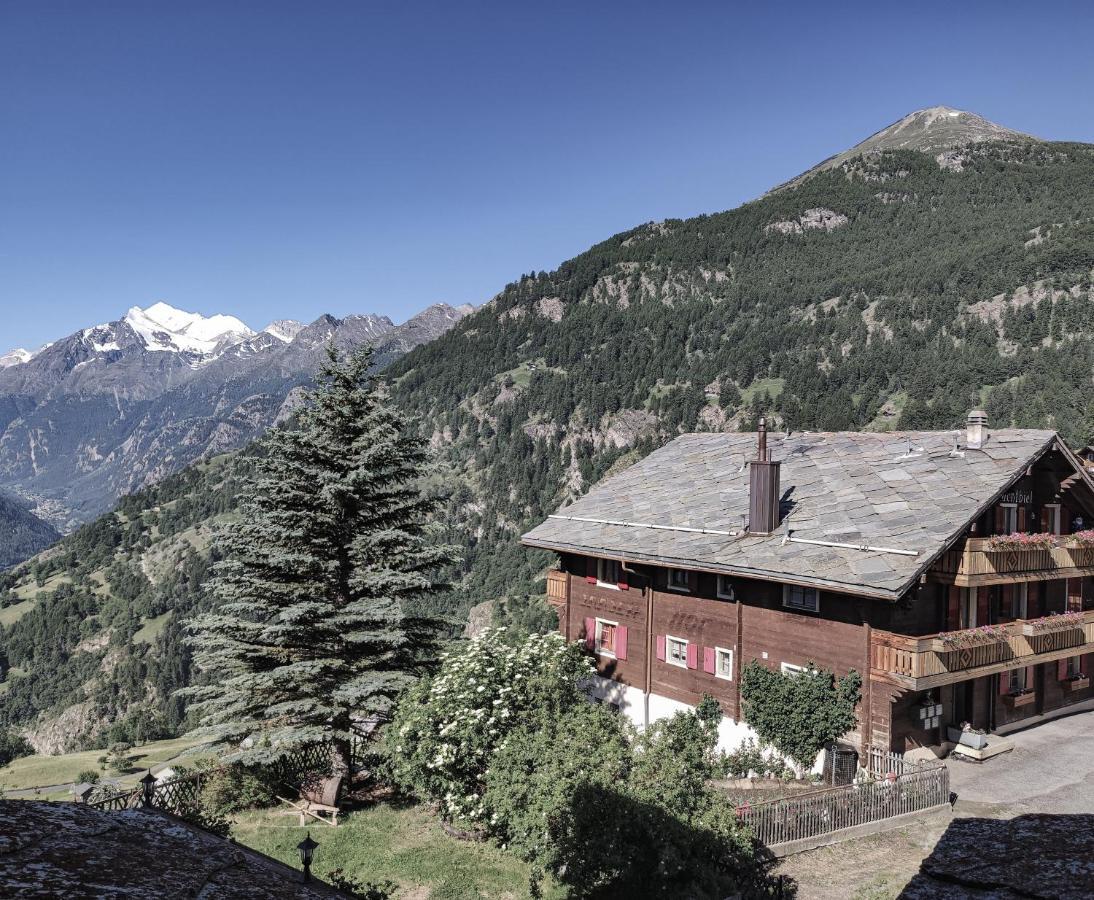 Berghotel Weisshorn Törbel Dış mekan fotoğraf